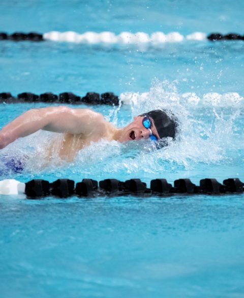 Young male swimmer swims freestyle during a competition